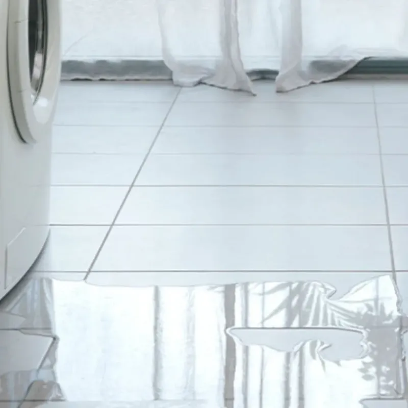 Appliance Leak Cleanup in Hiram, GA