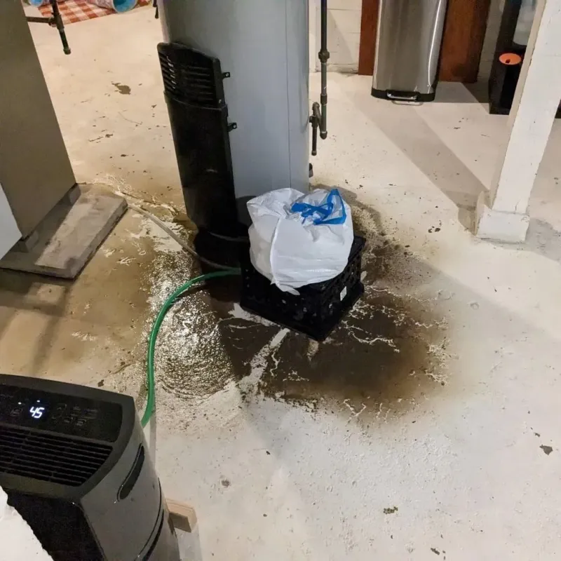Sewage Backup Cleanup Service in Hiram, GA